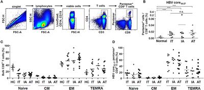 Ex vivo Detection and Characterization of Hepatitis B Virus-Specific CD8+ T Cells in Patients Considered Immune Tolerant